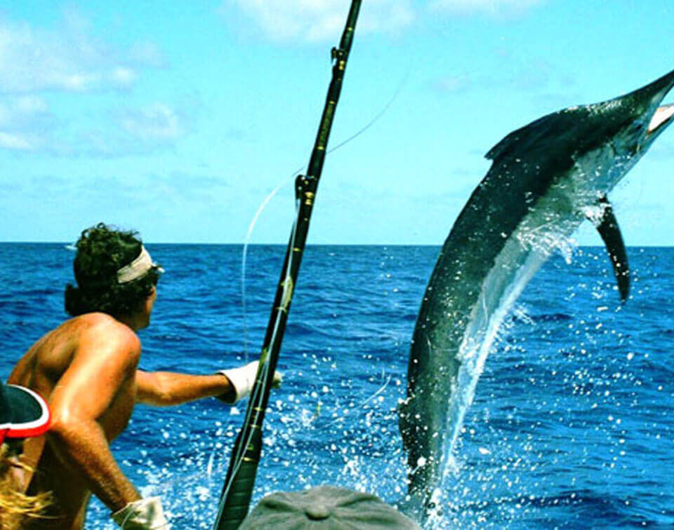 Water sports activity