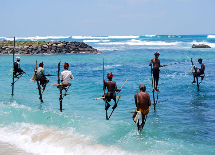 Stilt fisherman in Ahangama